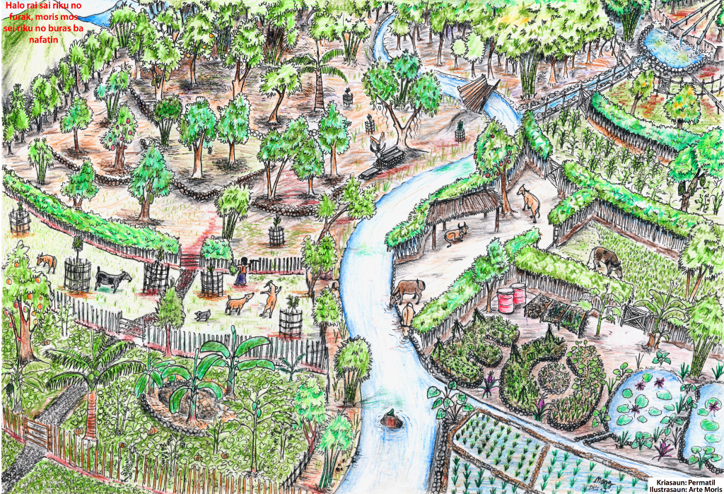 Tropical-Permaculture-Illustration